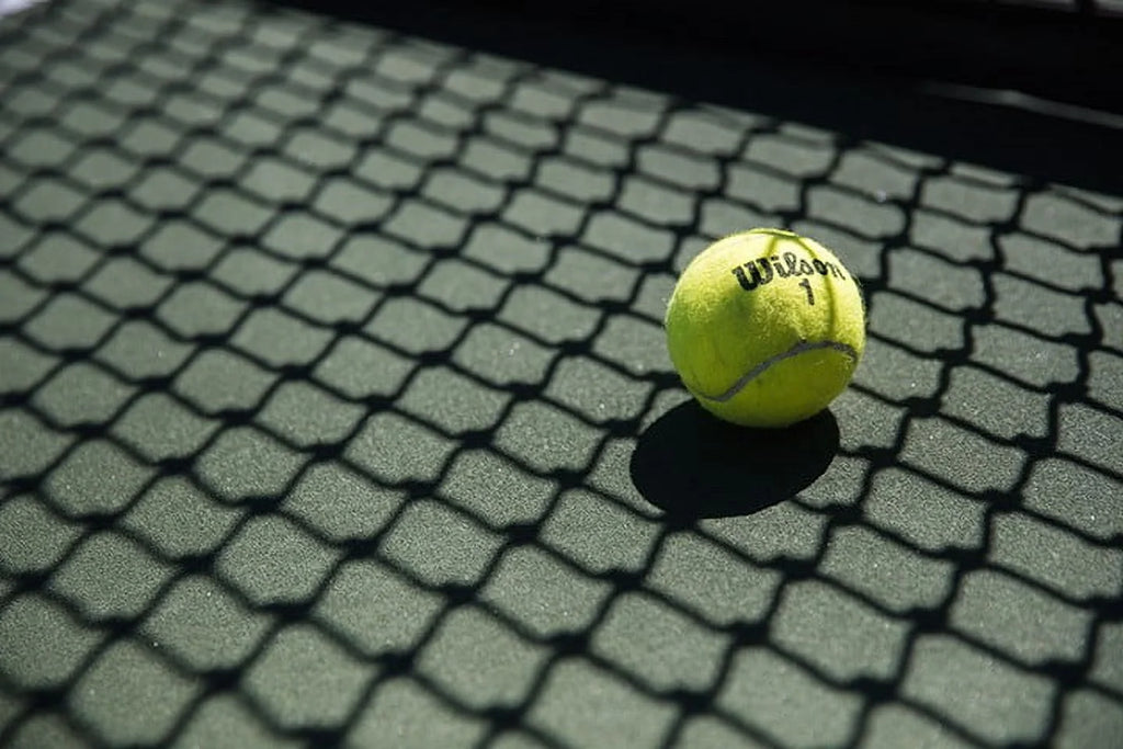 Championship Extra Duty Tennis Ball - 3 Ball Can